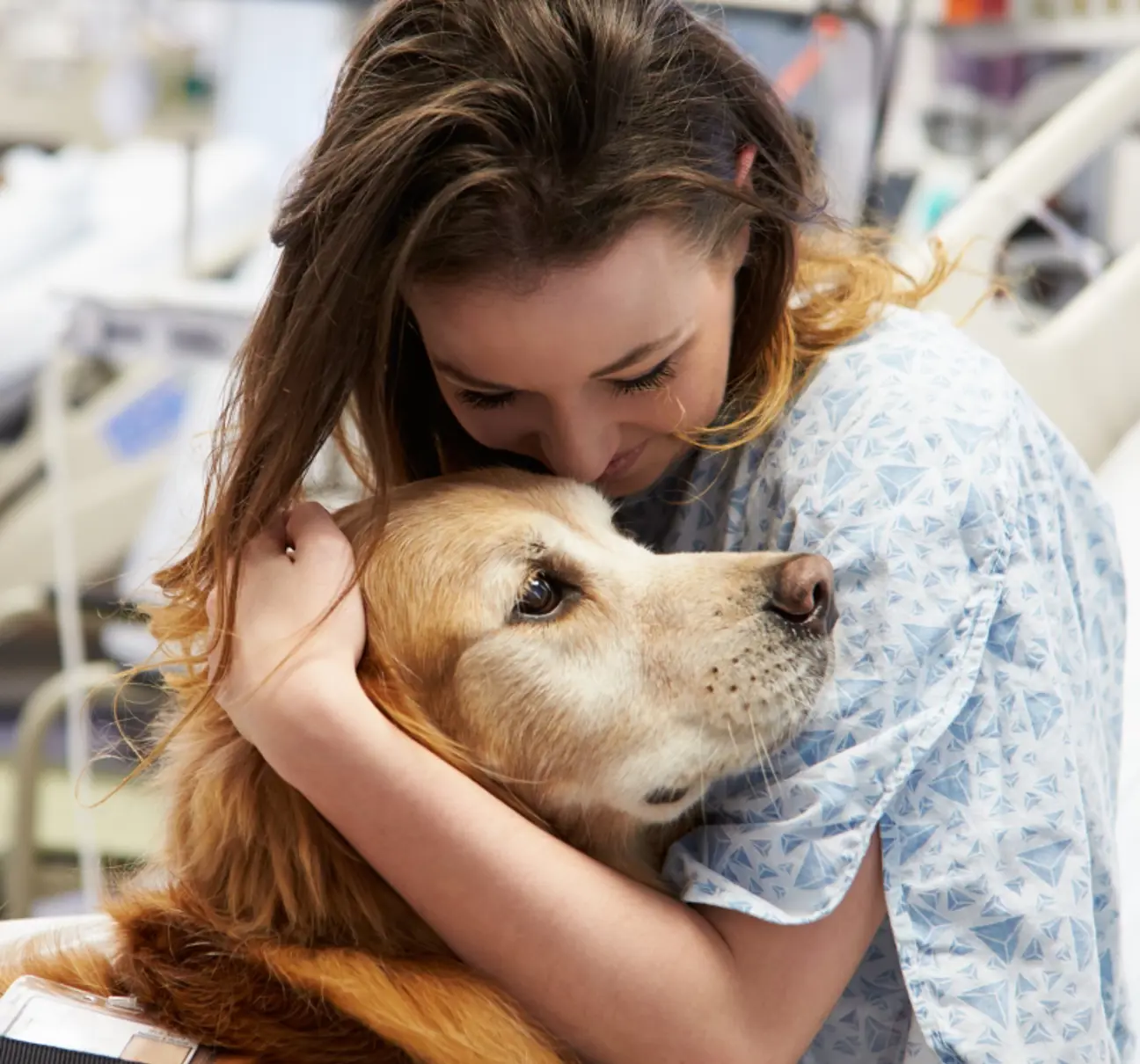 Therapy Dog Within NHS Hospital